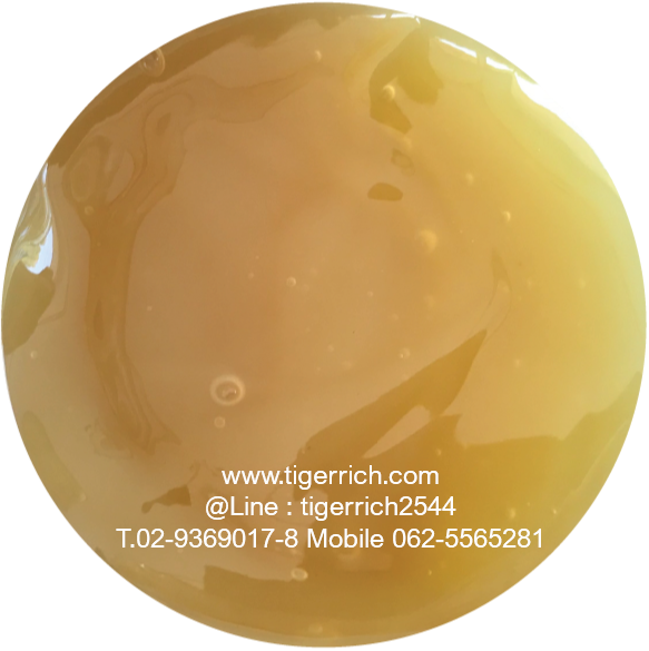 TG-24 SEMI-FLUID LITHIUM COMPLEX